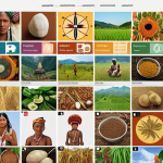 **

A vibrant, colorful digital archive showcasing diverse forms of Indigenous knowledge. The interface features icons representing traditional medicine, sustainable agriculture, and ecological practices. Diverse people are interacting with the database via tablets and laptops, emphasizing global collaboration and knowledge sharing. The overall aesthetic should convey a sense of respect, preservation, and accessibility.

**